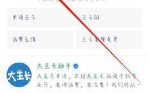 大王卡在哪里办？办理流程和注意事项