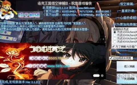 2024年最低价辅助发卡网推荐，助你游戏更精彩