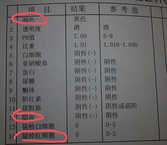 95333是什么电话？一文解答你所有疑惑