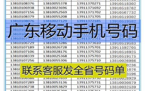 广州移动卡号码：办理指南与靓号选取