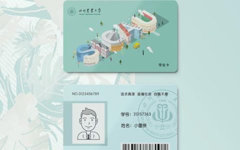 四川校园卡：一卡通行，精彩校园生活