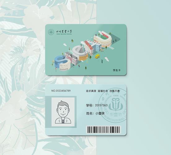 四川校园卡：一卡通行，精彩校园生活