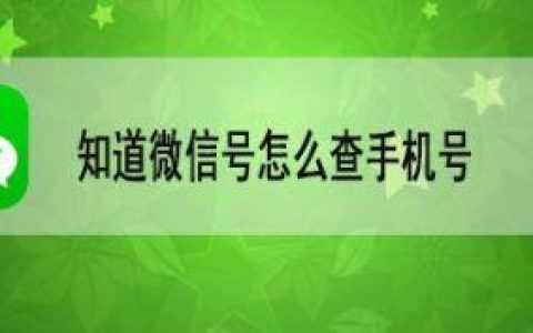 手机查询微信号：详细教程和注意事项