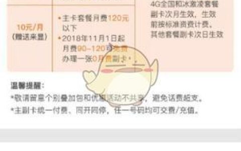 哪里可以办副卡？