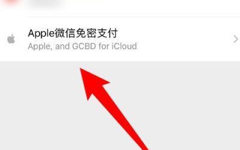 苹果服务免密支付怎么取消？