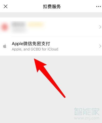 苹果服务免密支付怎么取消？