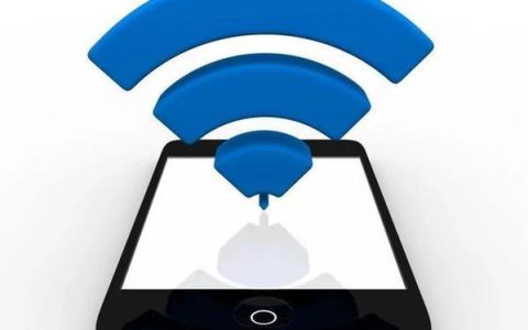WiFi蜂窝：无线网络的未来？
