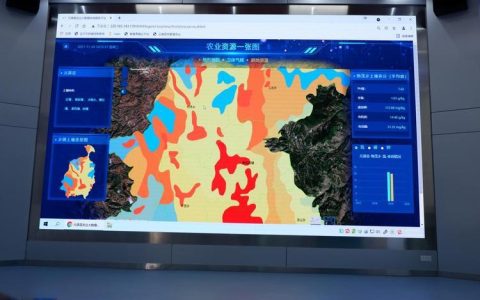 国动网络通信：构建数字中国新基石