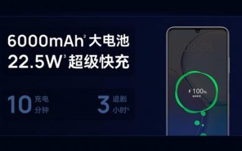 超长待机双网手机：告别频繁充电，畅享持久续航