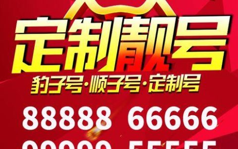 133靓号卡：彰显个性，引领潮流