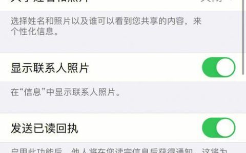 打开iMessage怎么还是短信？