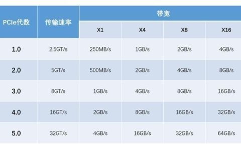 XGEI端口代表的带宽容量是多少？