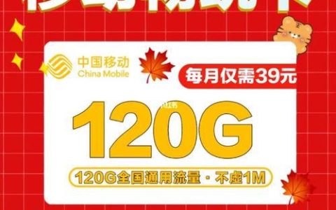 大流量套餐卡：冲浪无忧，畅享精彩
