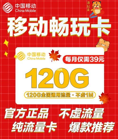 大流量套餐卡：冲浪无忧，畅享精彩