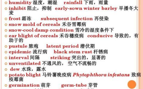 HowtoGetaSIMCardinEnglish:AComprehensiveGuide