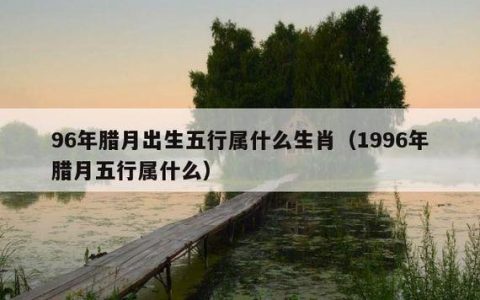 1996年1月2日出生是什么命？
