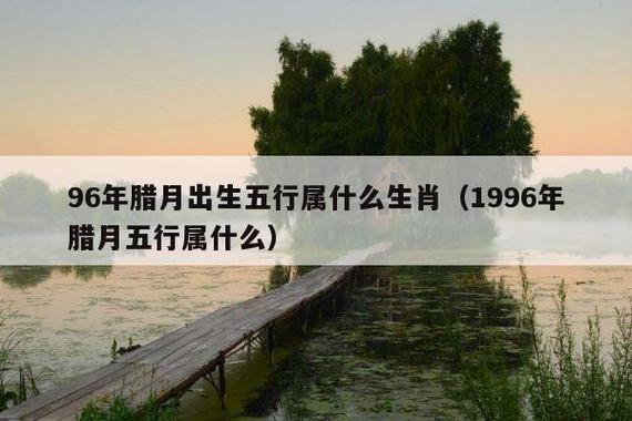 1996年1月2日出生是什么命？