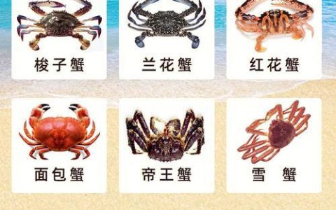 网购大闸蟹：避坑指南和选购技巧
