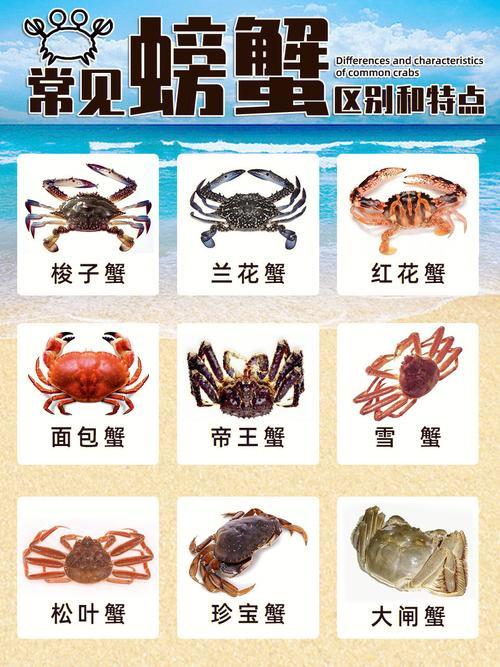 网购大闸蟹：避坑指南和选购技巧