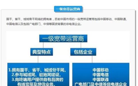 宽带一级运营商有哪些？