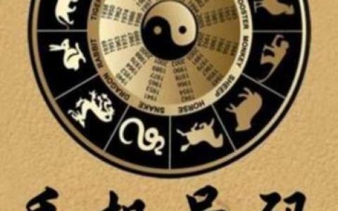 好的号码选号：选个吉利好号码，助你运势更上一层楼