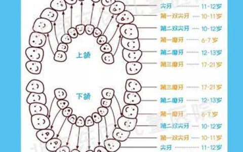 补一颗牙需要多长时间？