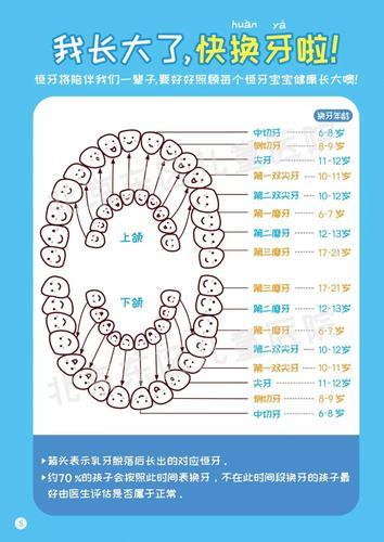 补一颗牙需要多长时间？