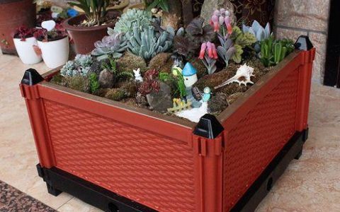 可移动种植箱：打造阳台花园的灵活帮手