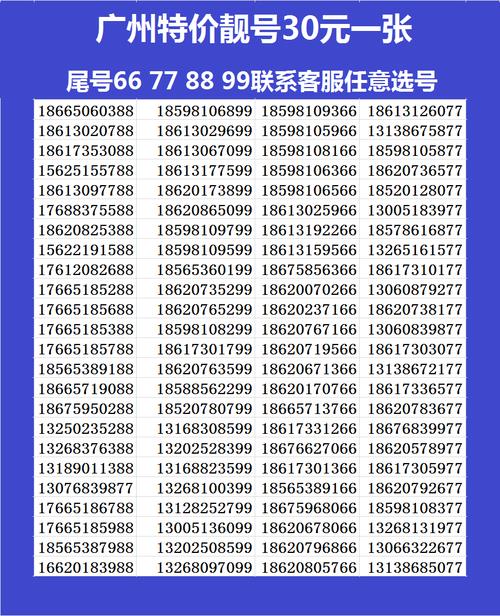 135老号段靓号：彰显身份，价值倍增
