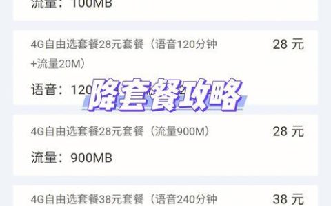 电话卡降套餐怎么办？