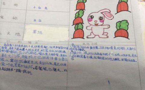 动物收集卡：点燃孩子的探索欲和收藏热情