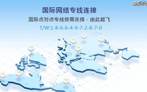 国际上网专线：助力企业畅行全球网络