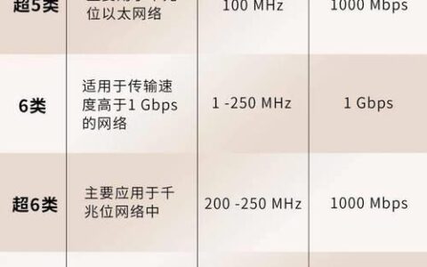 2024年最好的网线：如何选择最适合您的网线