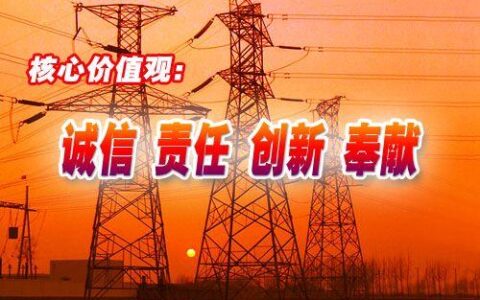 电信的核心价值观：引领企业发展，共创美好未来