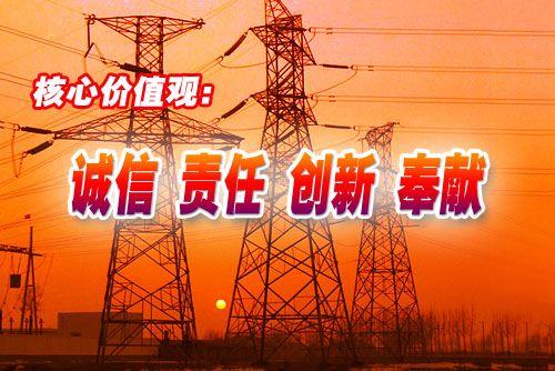 电信的核心价值观：引领企业发展，共创美好未来