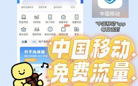 办理流量卡攻略：轻松玩转移动网络