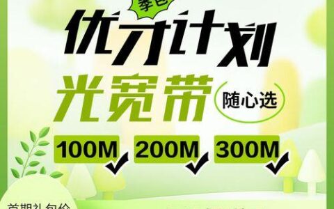 100兆电信宽带够用吗？