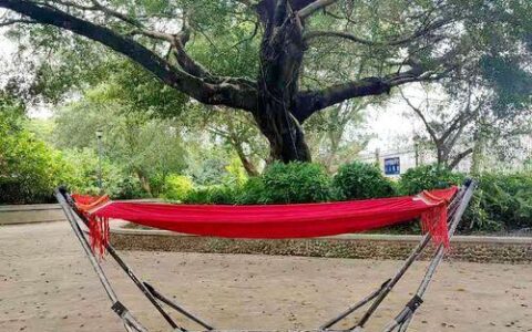 去越南怎么用网络？