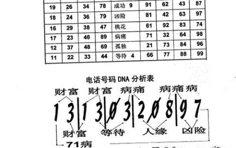 1349手机号码：寓意解析及选号指南