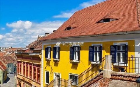 罗马尼亚电话卡：您的旅行指南