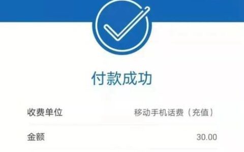 网上银行充话费：便捷生活新体验