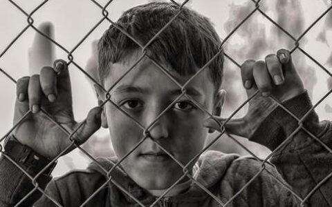 WiFi母子：科技时代下的家庭关系新模式