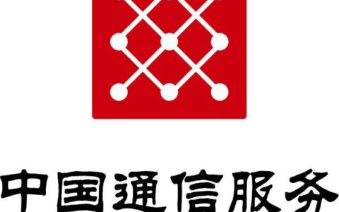 中国通信服务股份有限公司：数字化时代的智慧服务商