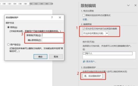 Word文档密码取消方法详解
